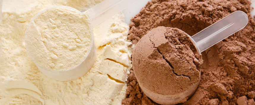 3 standard di qualità per proteine in polvere vegetali