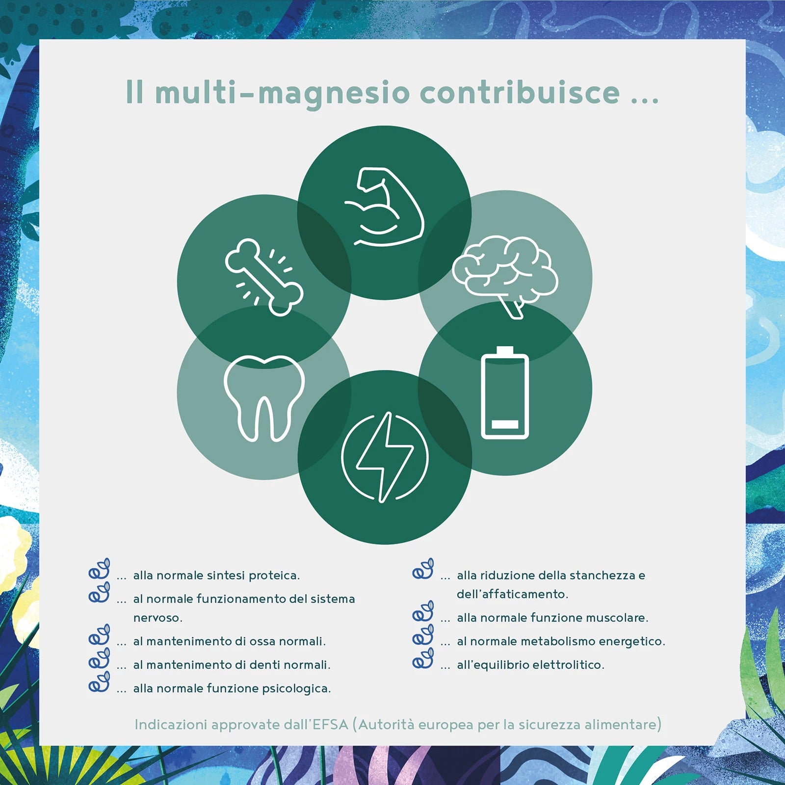 A+ Two - Multi Magnesium
