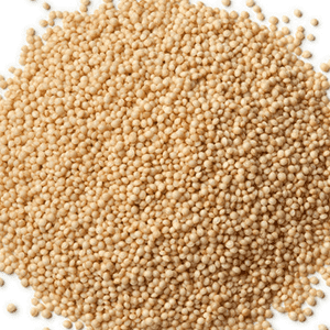 <p>Proteine di germogli di amaranto