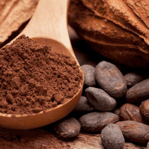 <p>Cacao magro in polvere