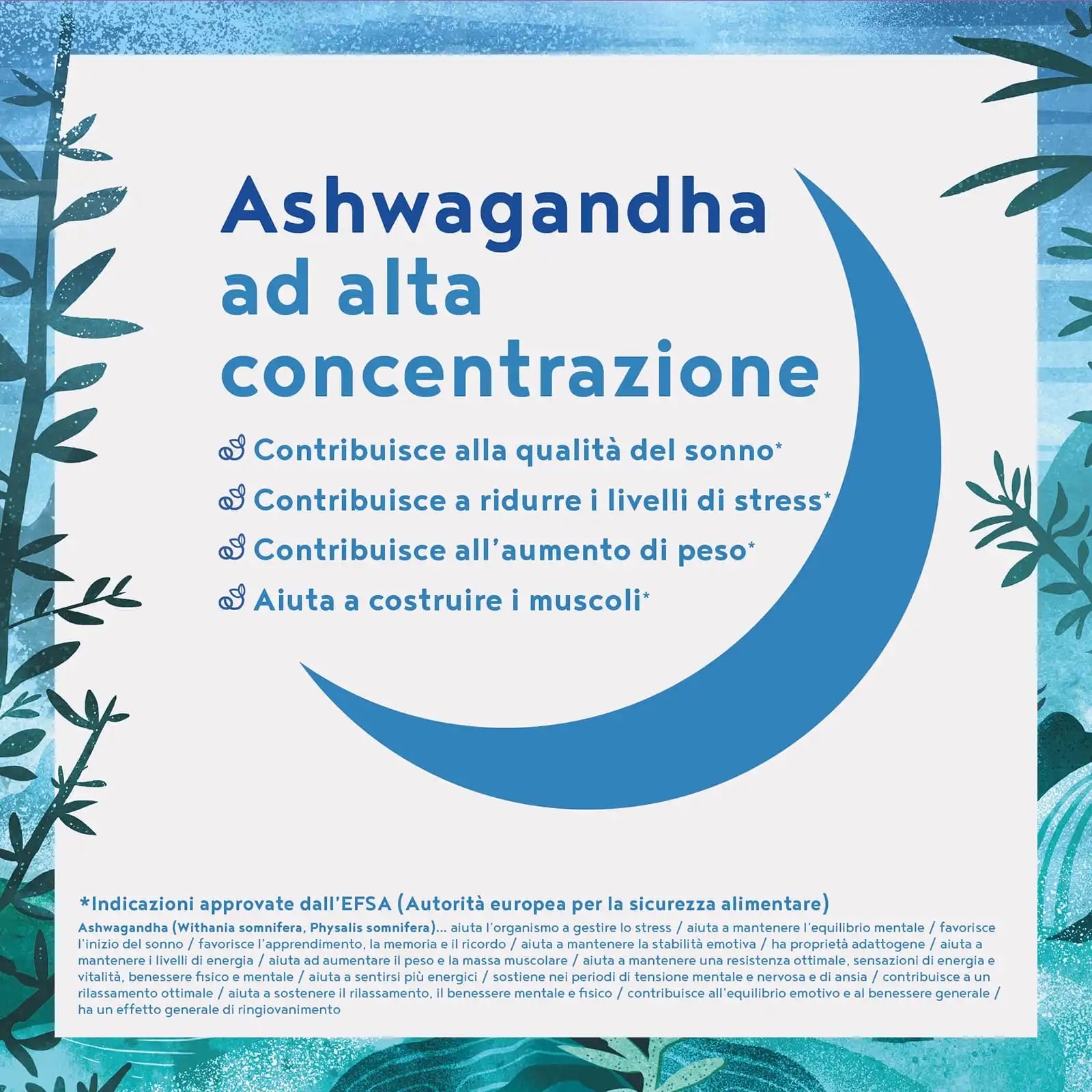 A+ One - High Potency Ashwagandha