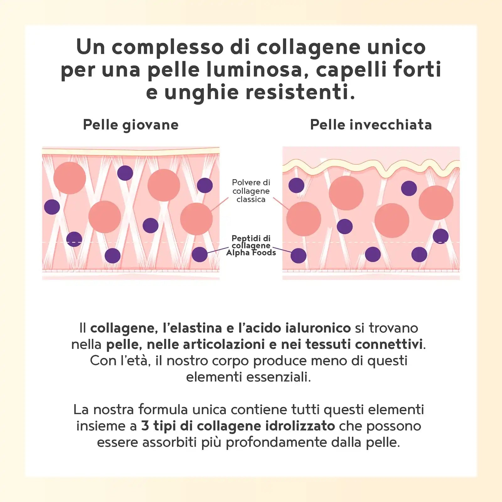 Kollagen Institut Polvere Di Collagene Per La Pelle, I Capelli E Le Unghie 3x150 G - Foto 8