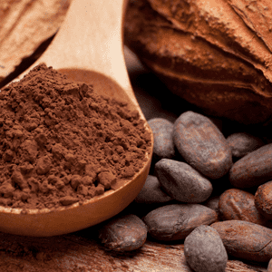 <p>Cacao in polvere