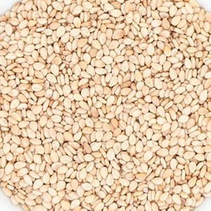 <p>Germogli di quinoa