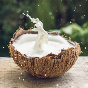 <p>Latte di cocco
