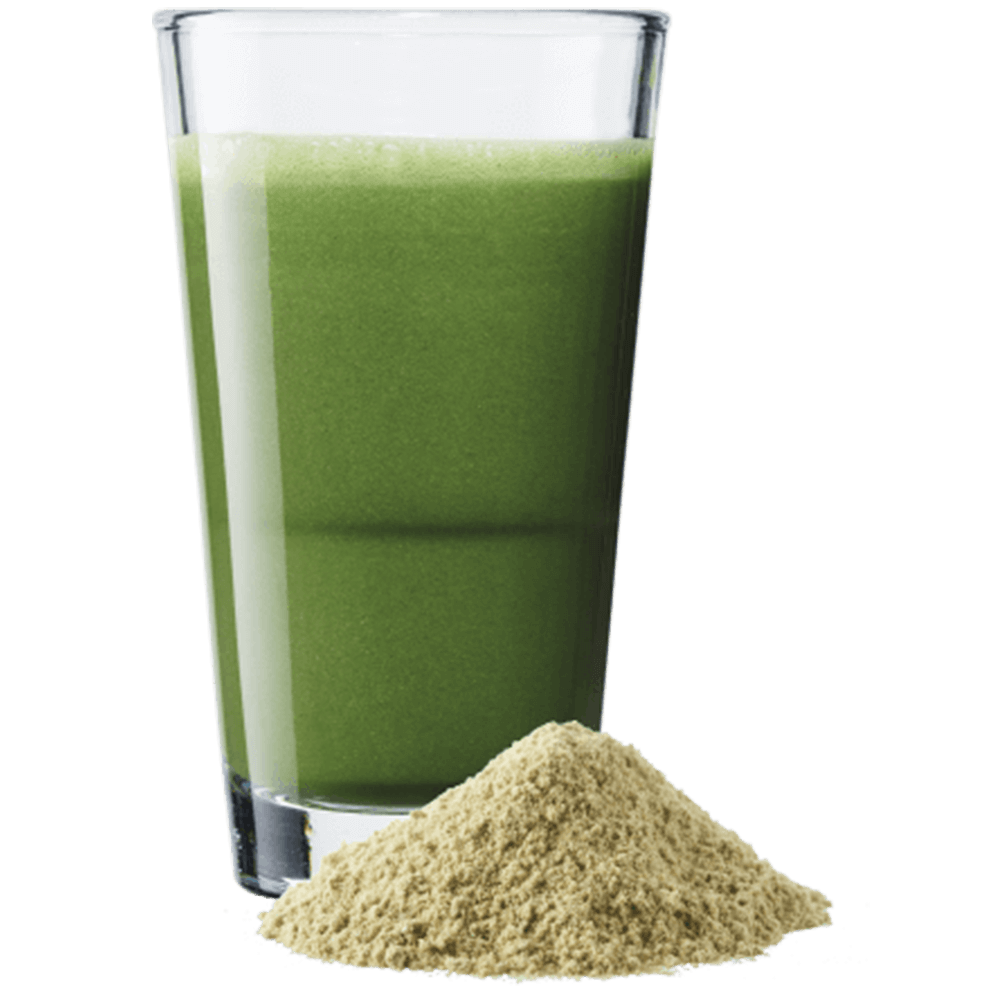 Morning Fuel Breakfast Smoothie - Gusto Matcha & Vaniglia